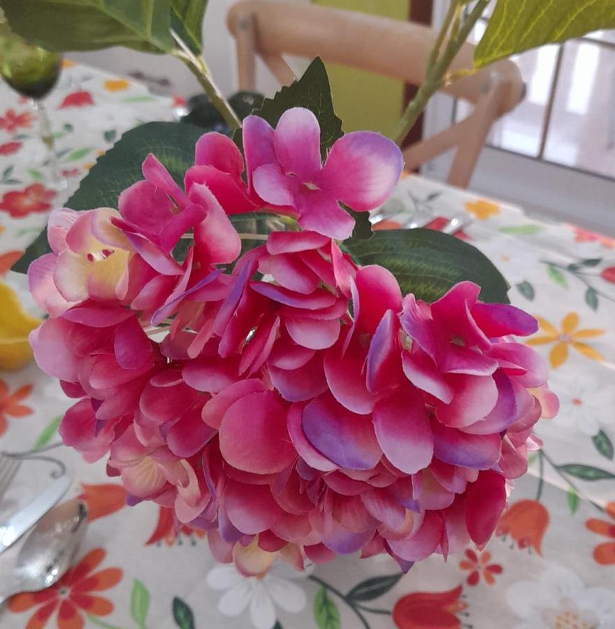Apartamentos Vigo Zewnętrze zdjęcie